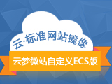 云·标准网站镜像