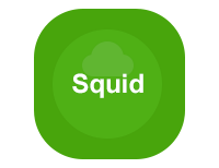 代理服务器 Squid
