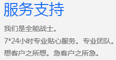 技术支持服务