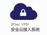 奕锐云安全接入VPN系统(含100个并发数)