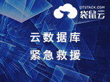 袋鼠云-数据库在线紧急救援(Oracle/MySQL/AliSQL)